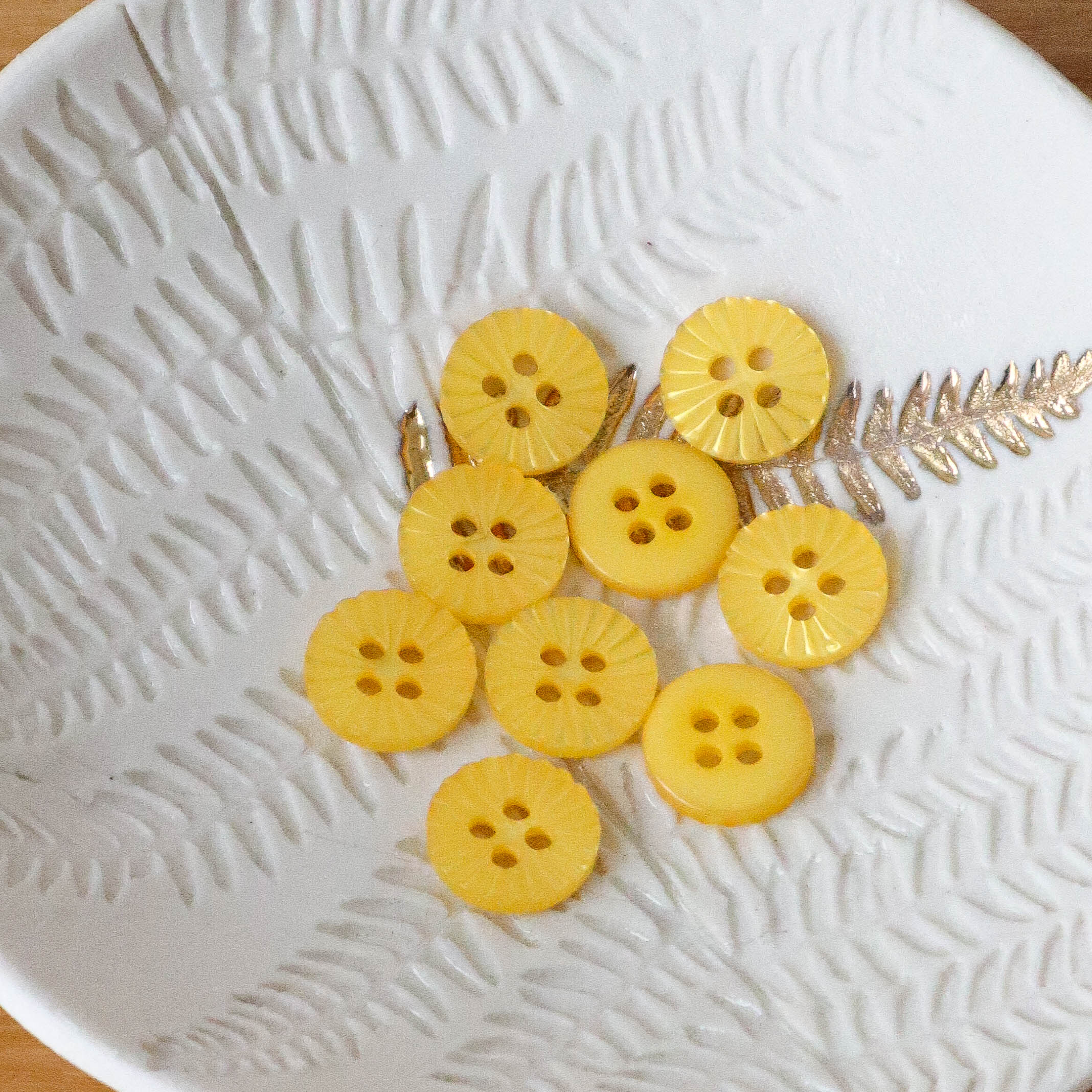 Daisy Button - Mimosa