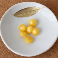 Bouton Moonlight - Mimosa