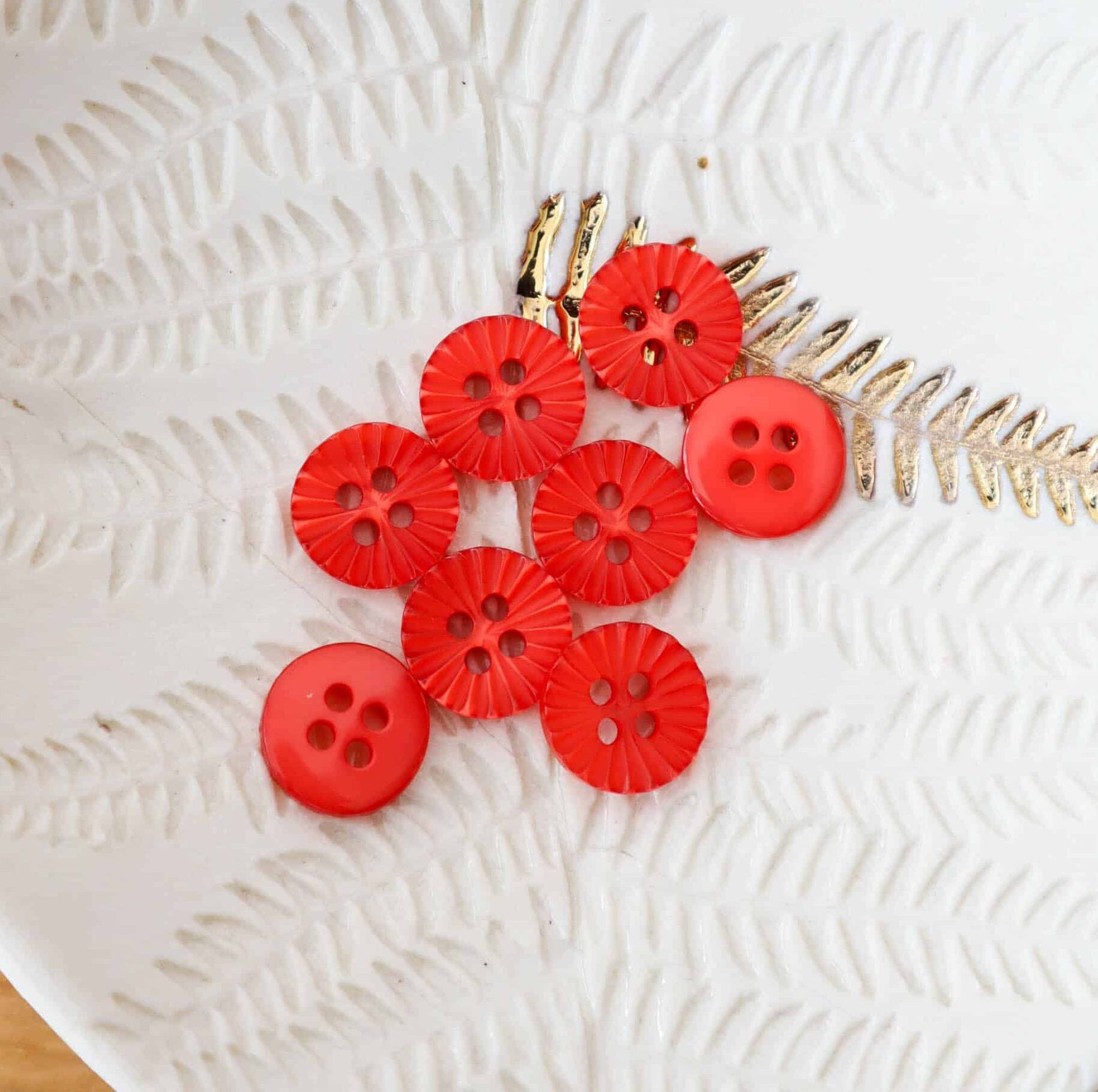 Daisy Button - Sunset