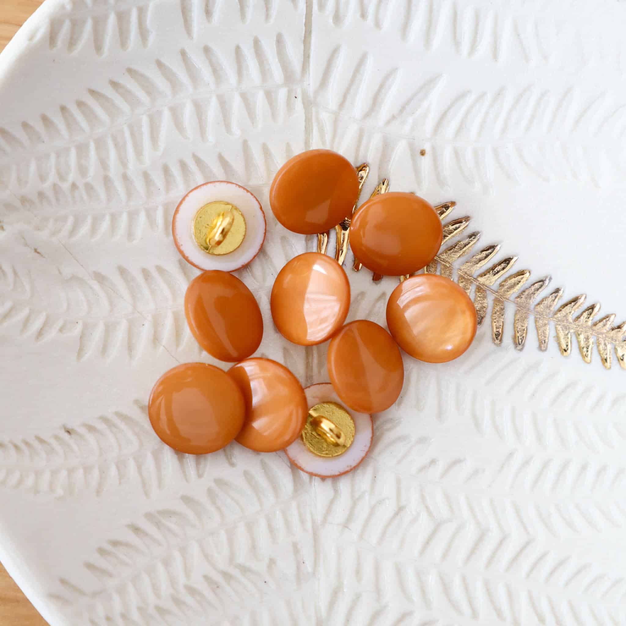 Bouton en nacre à queue – Bouton d'Or