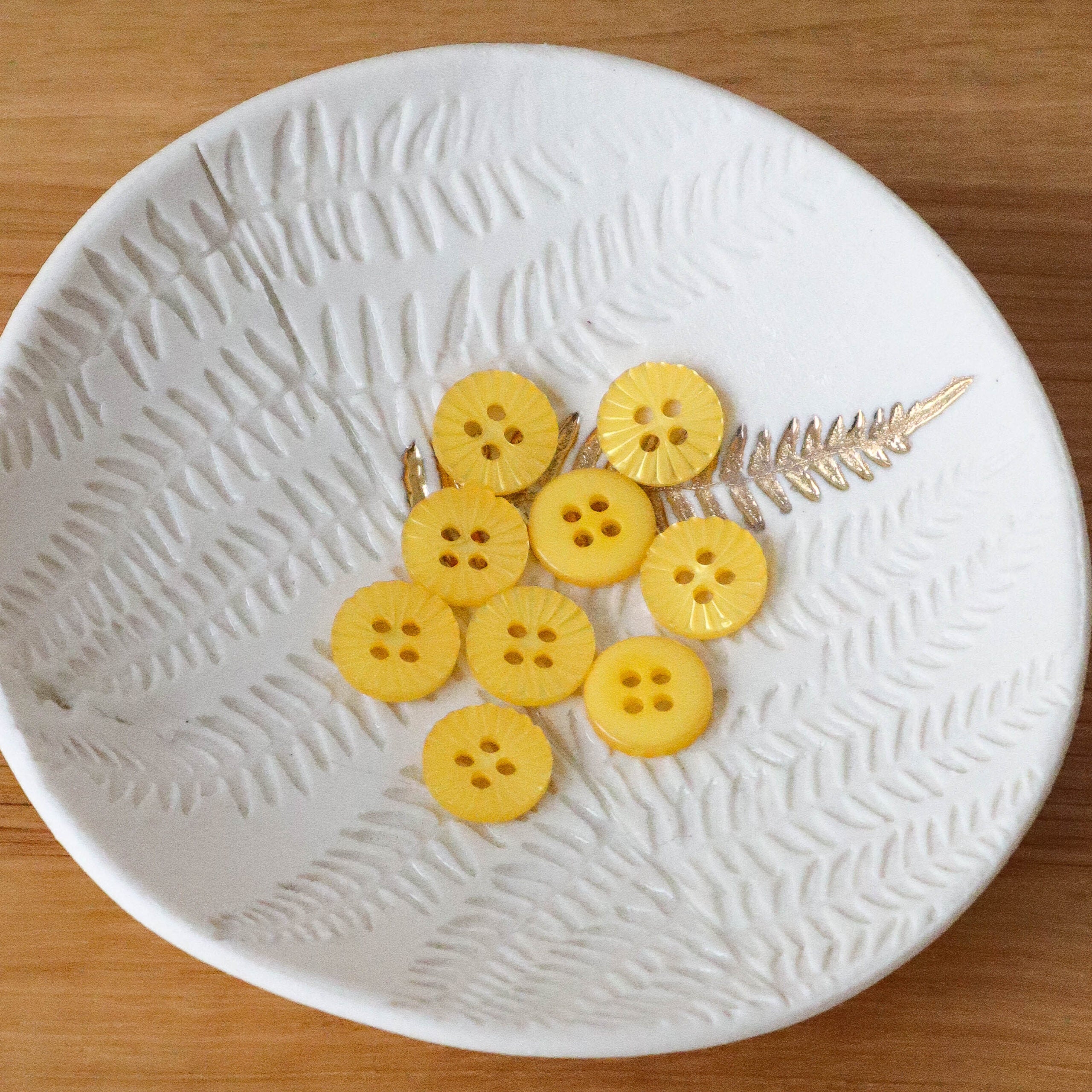 Daisy Button - Mimosa