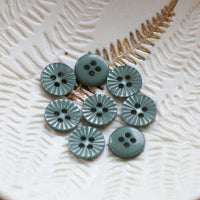 Daisy Button - Verbena